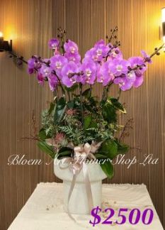 Table arrangement - Premium CODE 63793